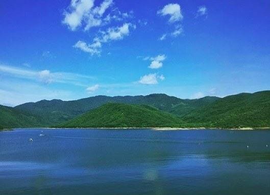 Hồ đồng xanh đồng nghệ đà nẵng 3