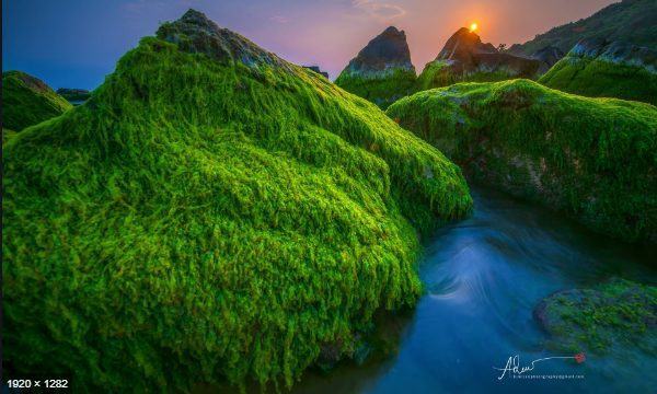 NAM O REEF, A MUST-VISIT DESTINATION WHEN YOU COME TO DA NANG 3 Screenshot 25