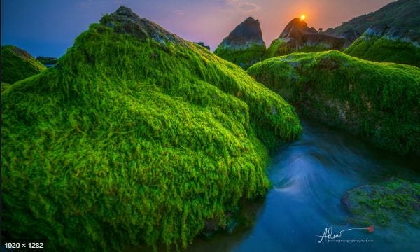 ảnh đẹp bãi rạn nam ô đà nẵng