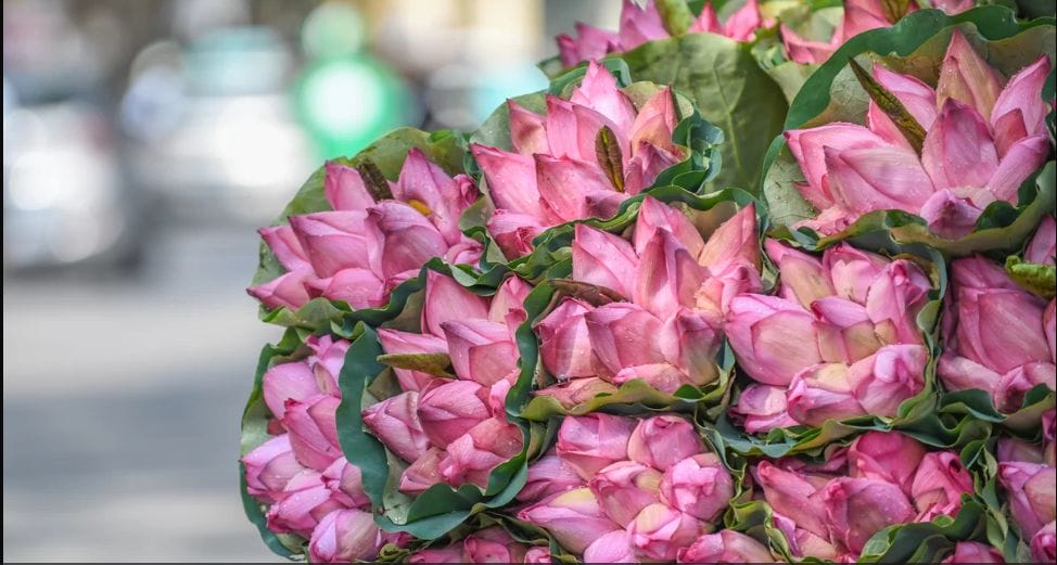 đặt phòng khách sạn dịp 20/10