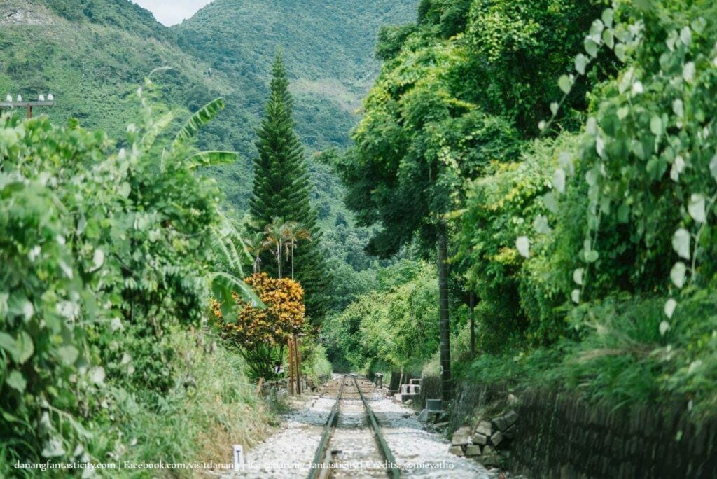 cau vom don ca 4 Danang FantasiCity