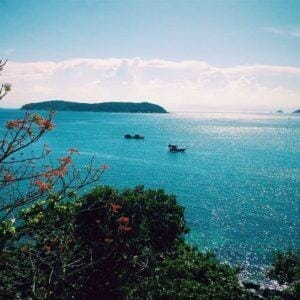 Danang Tourist Information 19 hoa ngo dong cu lao cham mytour 6