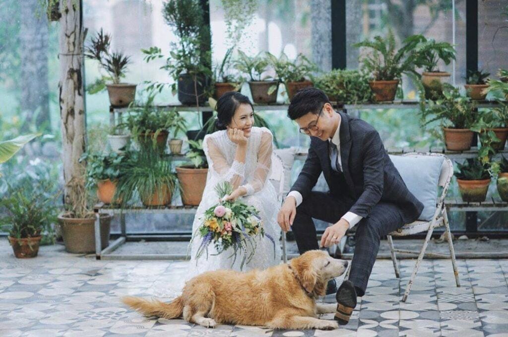 Trăng mật ở Đà Nẵng