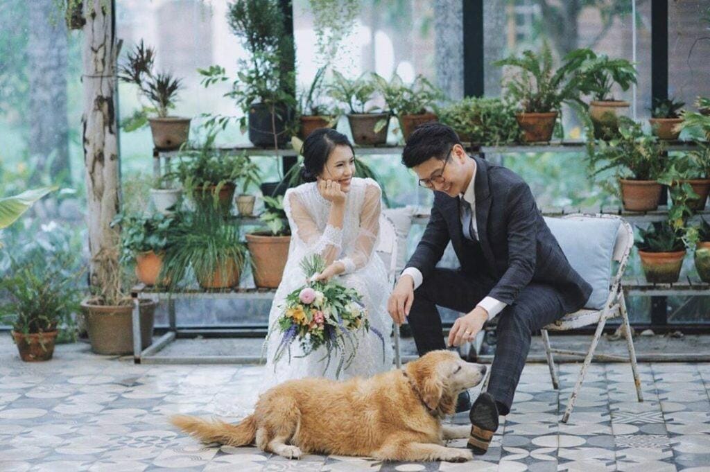 DU LỊCH TRĂNG MẬT Ở ĐÀ NẴNG nên chọn khách sạn nào