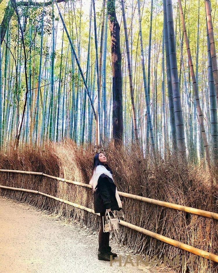 Rừng tre Đà Nẵng cực chill nổi tiếng nhất hiện nay 1 Rừng tre Đà Nẵng