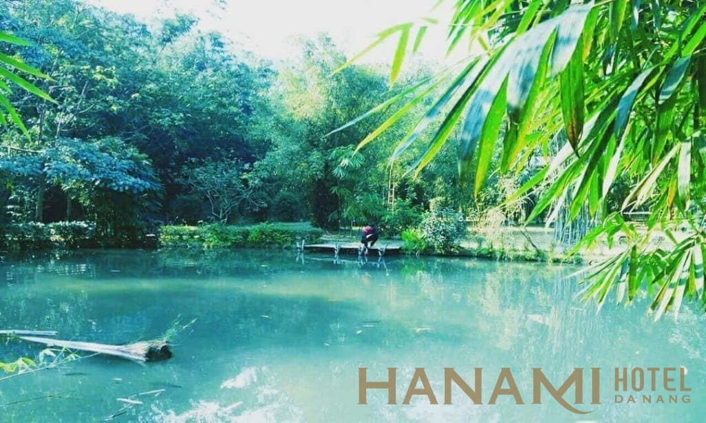 Sơn trà tịnh viên đà nẵng