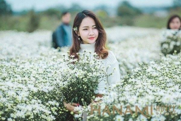 bạn nữ chụp hình sống ảo ở vườn cúc họa mi