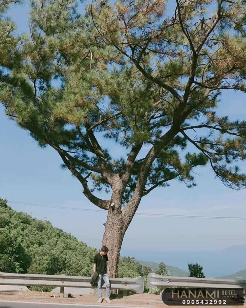 Phượt đèo Hải Vân