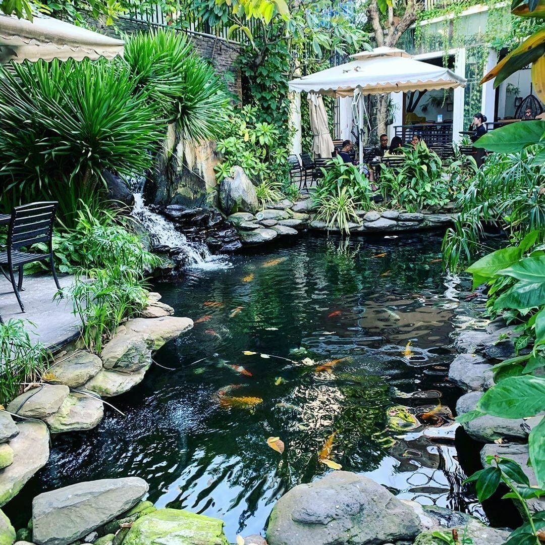 Best Tranquil and Natural Garden Cafes in Da Nang 1 Best Tranquil and Natural Garden Cafes in Da Nang