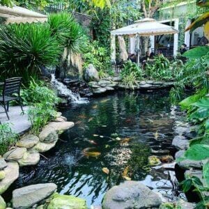 Ẩm thực Đà Nẵng 7 The Garden House Cafe Bistro Đà Nẵng