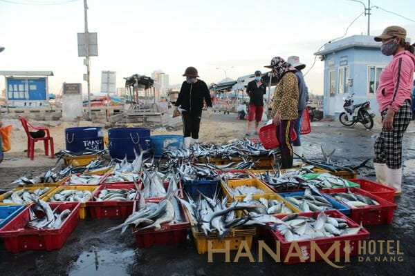Top 10 khu chợ Đà Nẵng sầm uất, nổi tiếng nhất mà bạn nên ghé 10 Chợ Đà Nẵng