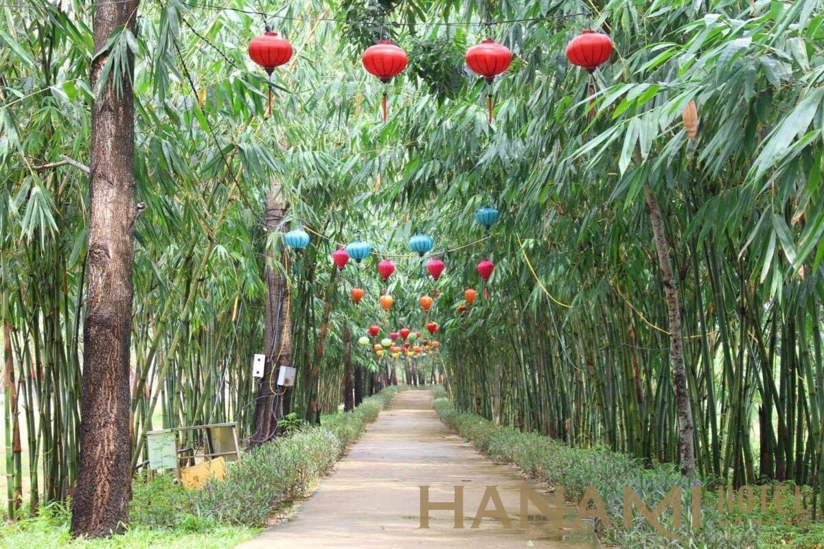 rừng tre dẫn lối vào khu du lịch Hà Gia Quảng Nam