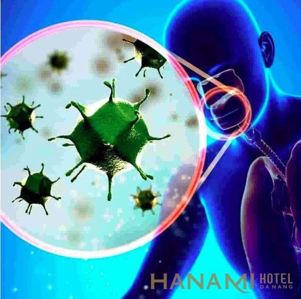 Phương tiện di chuyển an toàn khi đi du lịch trong mùa dịch Corona 1 Sự nguy hiểm của Virus Corona khiến mọi người đều lo lắng