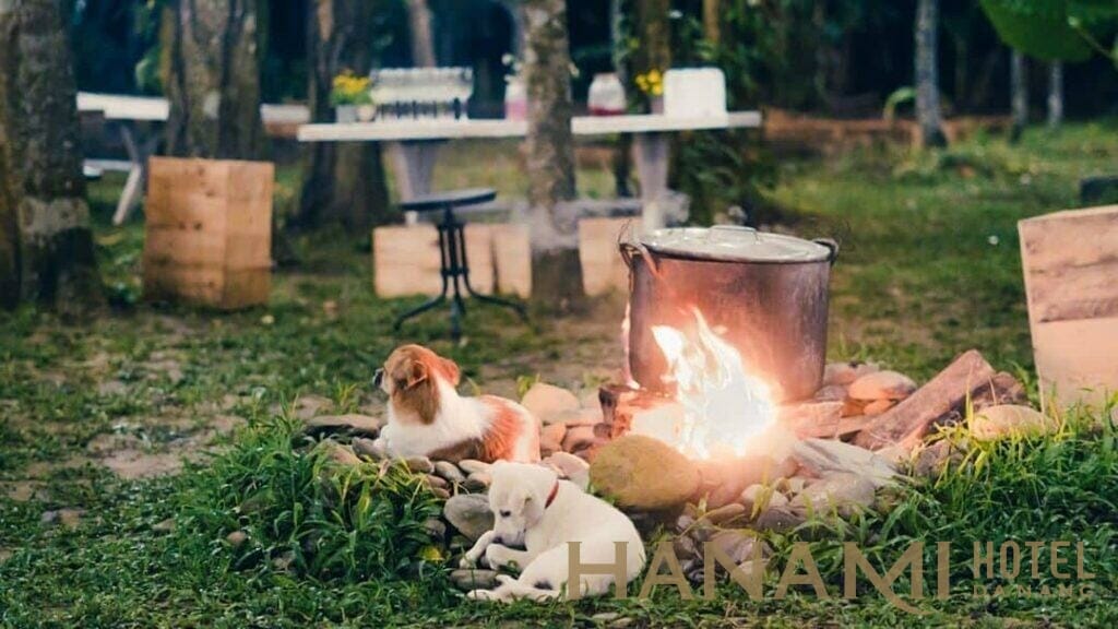 An Nhiên Farm Đà Nẵng