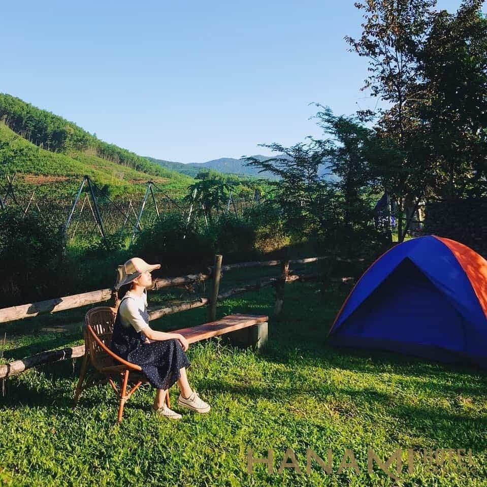 Đánh đàn tại An Nhiên Farm