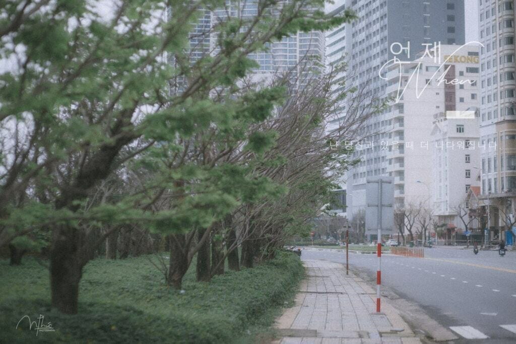 Con đường Hàn Quốc