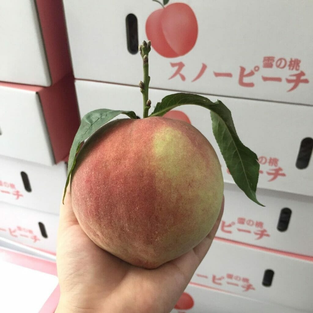 Trái cây Đà Nẵng - Top 10 cửa hàng hoa quả tươi và sạch nhất 11 hoa quả sạch và nhập khẩu tại Đà Nẵng