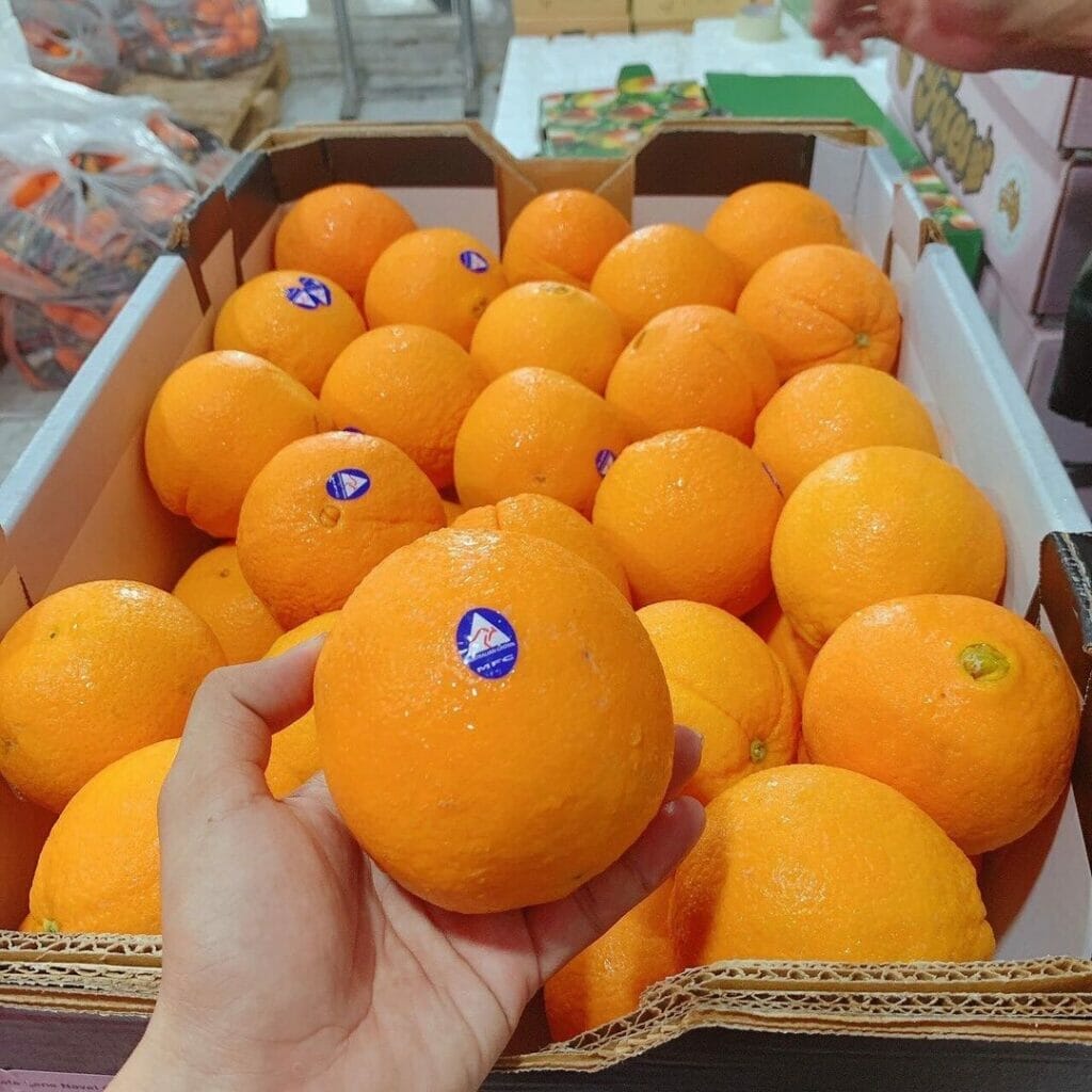 Trái cây Đà Nẵng - Top 10 cửa hàng hoa quả tươi và sạch nhất 9 cam tươi tại Đà Nẵng