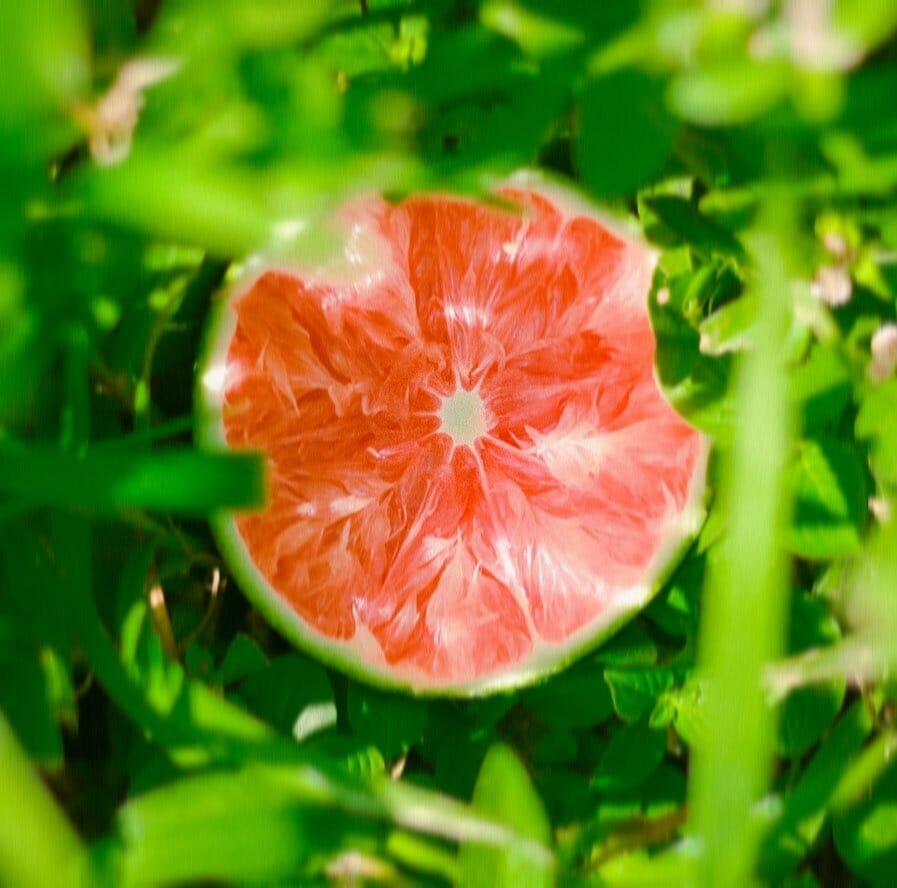 Trái cây Đà Nẵng - Top 10 cửa hàng hoa quả tươi và sạch nhất 5 cửa hàng trái cây tại 817 Ngô Quyền, Sơn Trà