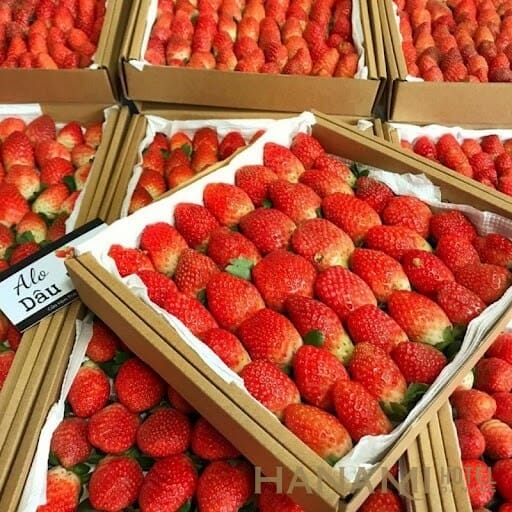 Trái cây Đà Nẵng - Top 10 cửa hàng hoa quả tươi và sạch nhất 1 trái cây 29 Đường Lê Duẩn, Hải Châu 1 Đà Nẵng