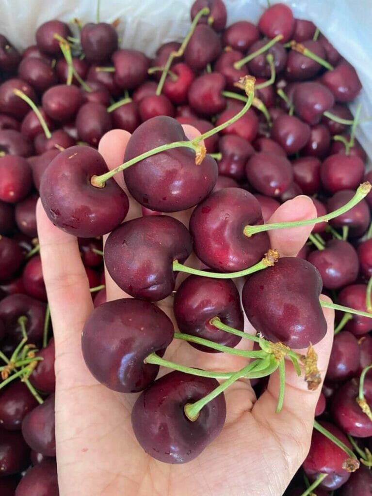 Trái cây Đà Nẵng - Top 10 cửa hàng hoa quả tươi và sạch nhất 3 Trái cây 20 Đỗ Quang, Thanh Khê Đà Nẵng