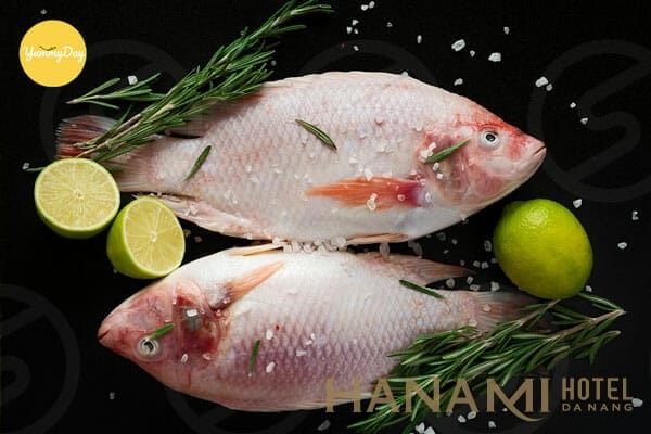 Cách làm cá diêu hồng chiên xù giòn rụm, thơm ngon 3 Top 44 cá diêu hồng thành phần dinh dưỡng hay nhất 2022