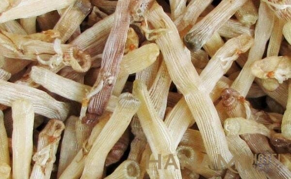Tổng hợp những món đặc sản Hạ Long mà du khách không thể cưỡng nổi 15 Sá sùng khô