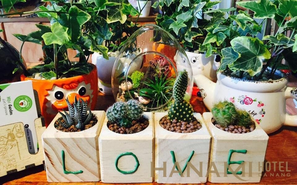 Mộc Garden - Terrarium - Sen Đá & Cây Văn Phòng ở Quận Sơn Trà, Đà Nẵng |  Foody.vn