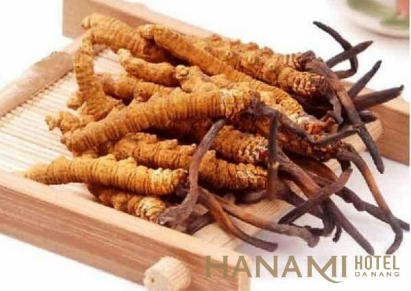 Đông trùng hạ thảo có tác dụng gì?