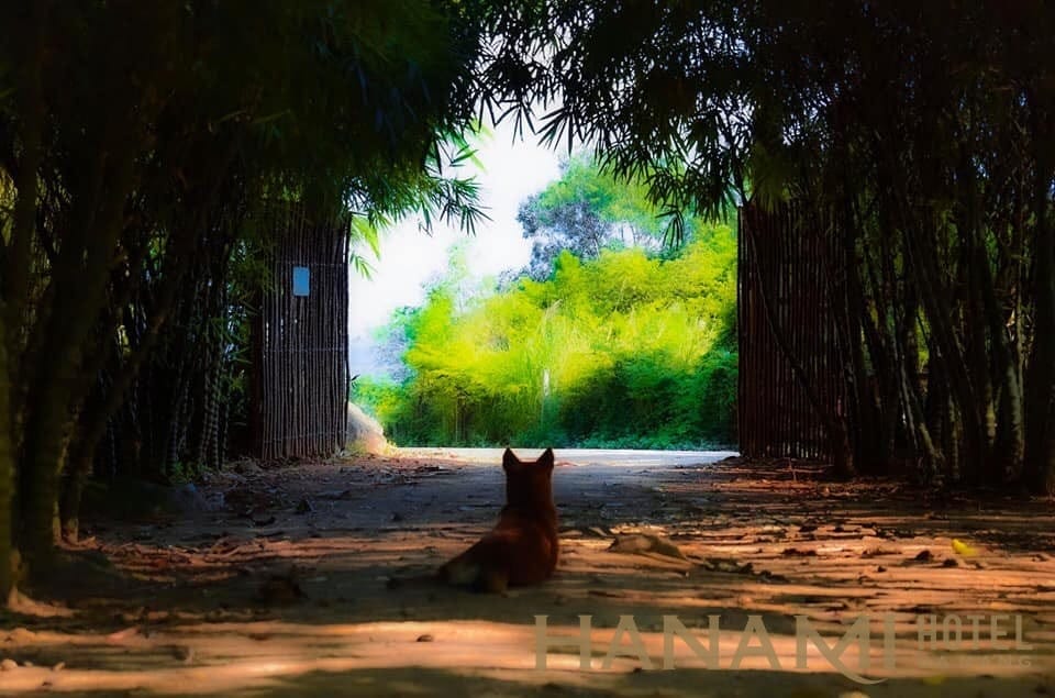 Sơn Trà Tịnh Viên Đà Năng – chốn bình yên nơi trần gian