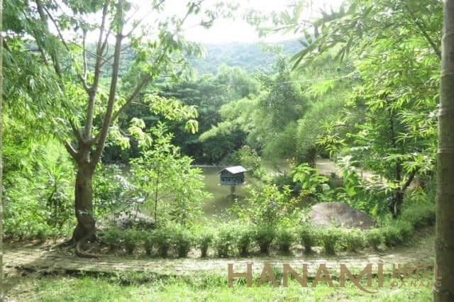 Đắm mình" trong thiên nhiên ở Sơn Trà Tịnh Viên thành phố Đà Nẵng