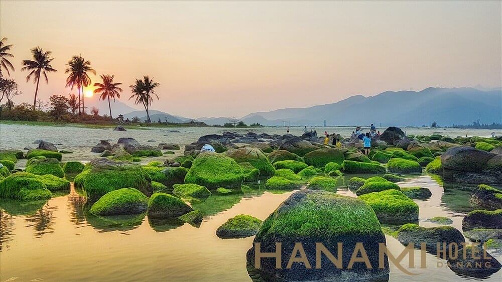Tất tần tật kinh nghiệm du lịch Đà Nẵng năm 2022 2 Đẹp ngỡ ngàng với bãi đá rạn Nam Ô Đà Nẵng