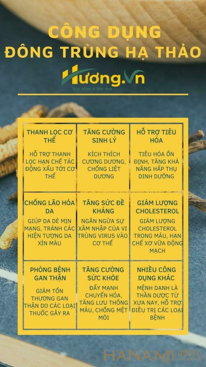 các công dụng tuyệt vời của nấm đông trùng