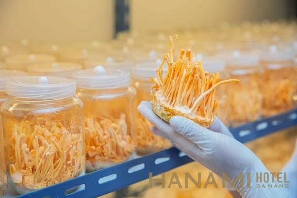 Hướng dẫn phân biệt đông trùng hạ thảo tươi và khô 4 Đọc kỹ thành phần dược chất khi mua đông trùng hạ thảo