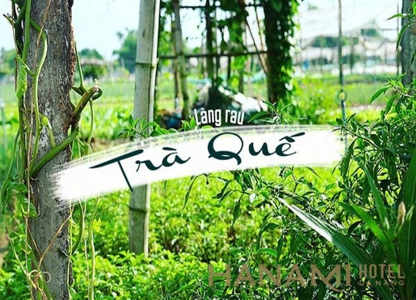 Làng Rau Trà Quế Hội An