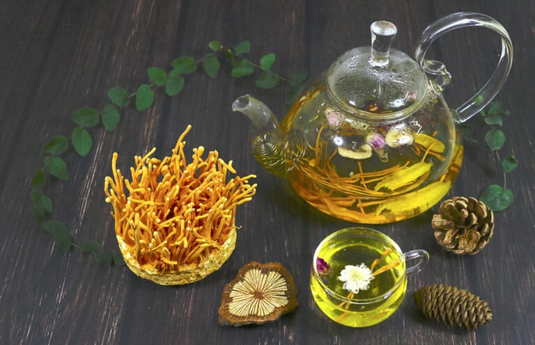 Hướng dẫn phân biệt đông trùng hạ thảo tươi và khô 5 Đông Trùng Hạ Thảo Là Gì? Công Dụng, Phân Loại Và Hướng Dẫn Sử Dụng