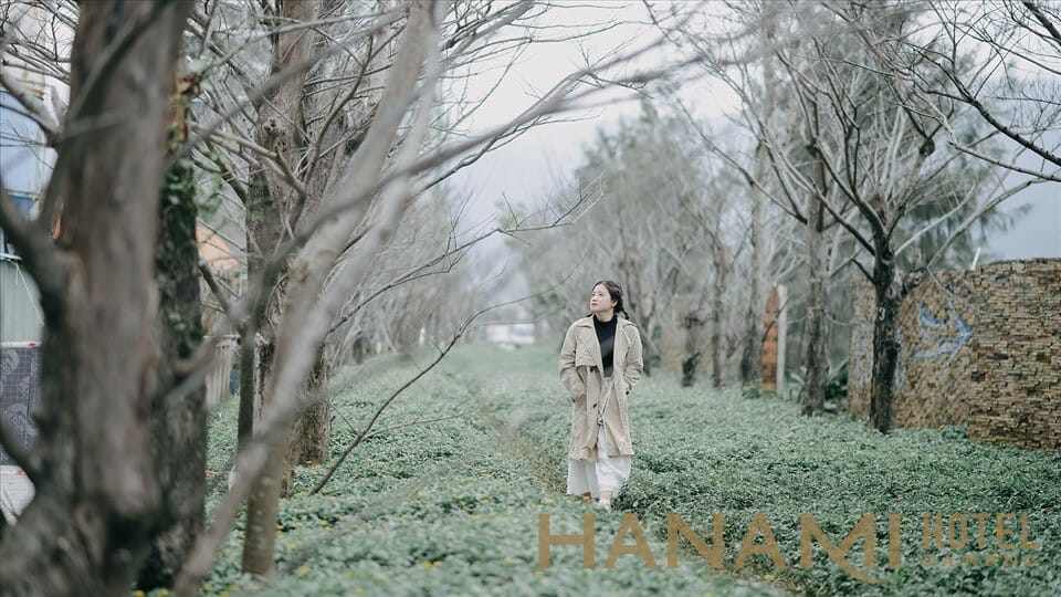 con đường mùa Đông Đà Nẵng đẹp phải check-in con đường mùa Đông Đà Nẵng đẹp phải check-in