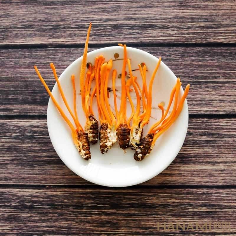 Top 3 Địa Chỉ Mua Đông Trùng Hạ Thảo Đà Nẵng Uy Tín, Chất Lượng