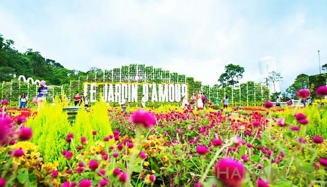 vườn hoa Bà Nà Hill