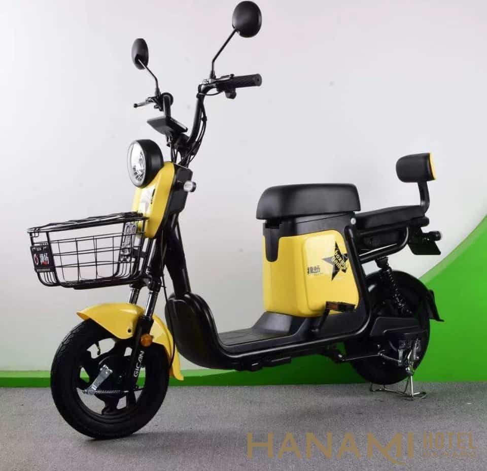 xe đạp điện Đà Nẵng