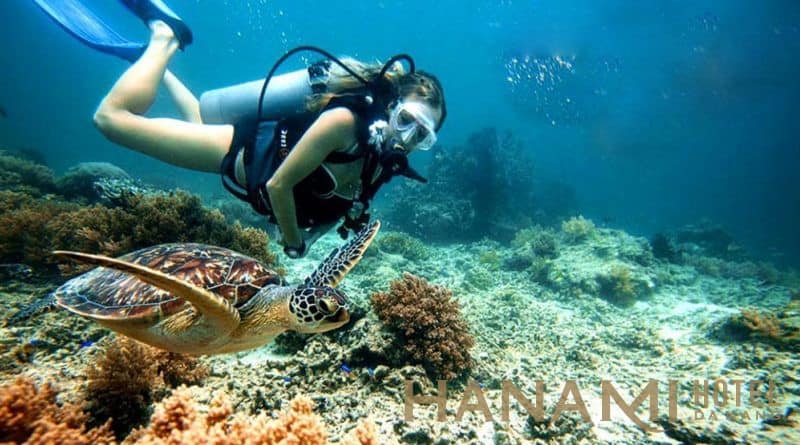 Các dịch vụ vui chơi giải trí khác