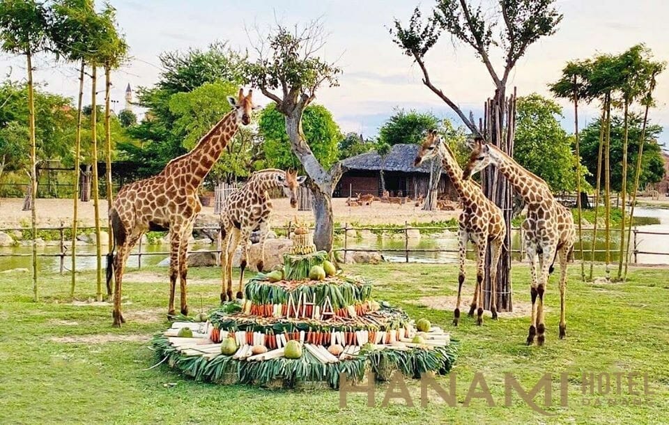 Safari tại VinWonder Hội An