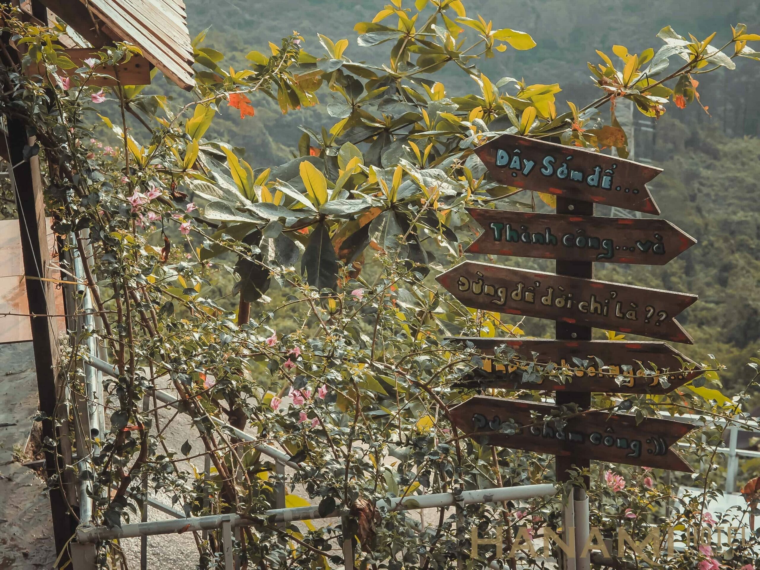 Hon Da Thuyen - An extremely chill Cafe at Hai Van Pass 4 hòn đá thuyền