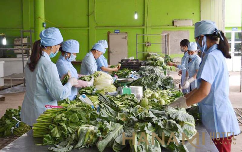 chế biến và bảo quản thực phẩm 