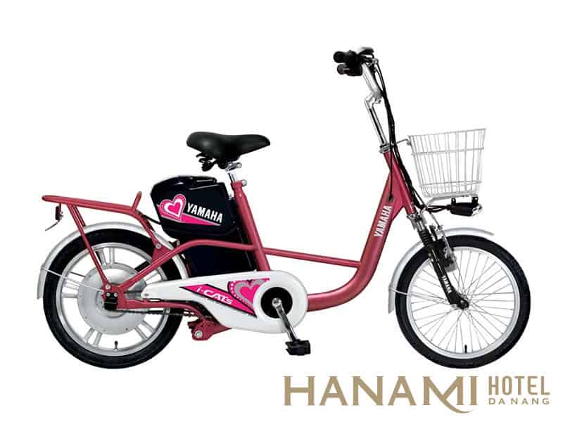 Xe đạp điện Đà Nẵng - Mách bạn 10 địa chỉ cửa hàng uy tín nhất 8 xe đạp điện giá rẻ dưới 3 triệu