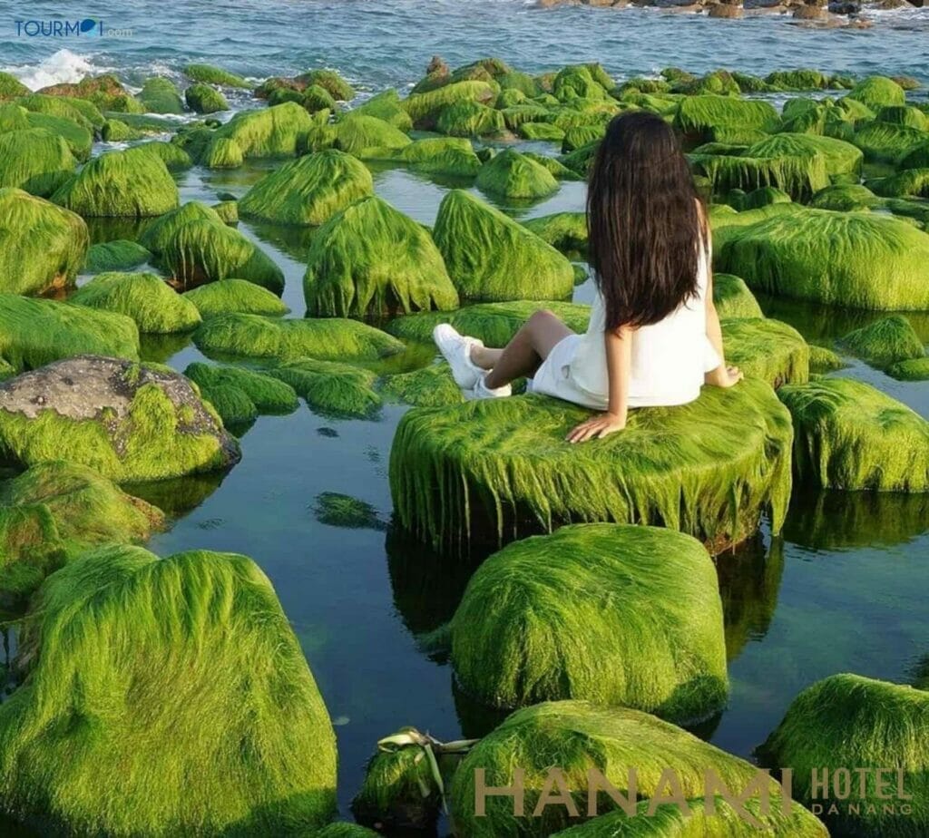 Bãi Rêu Rạn Nam Ô