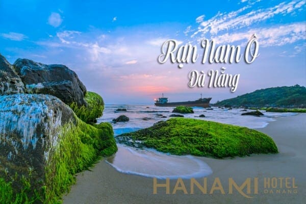 Bãi rêu Rạn Nam Ô - Bức tranh sống ảo thu hút du khách hiện nay 1 Bãi rêu Nam Ô