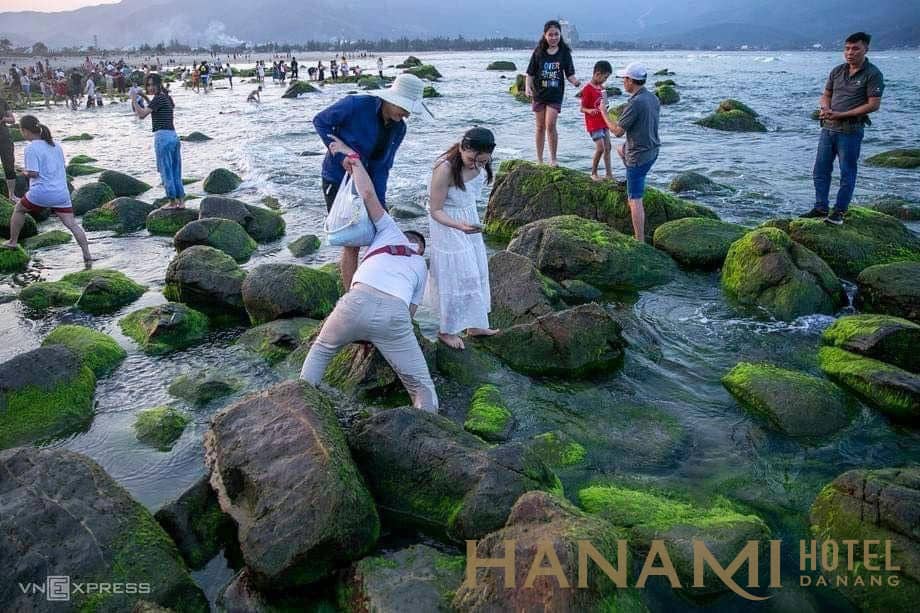 Bãi rêu Rạn Nam Ô - Bức tranh sống ảo thu hút du khách hiện nay 3 Bãi rêu Rạn Nam Ô