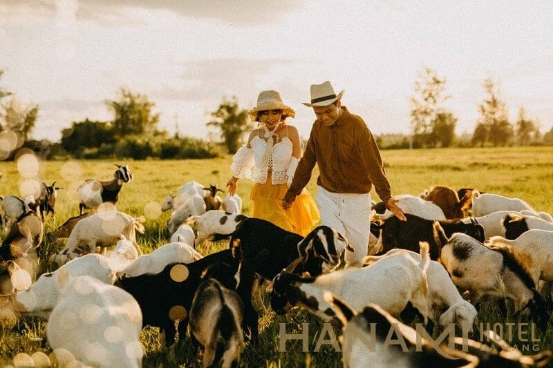 check in hoi an 17 1