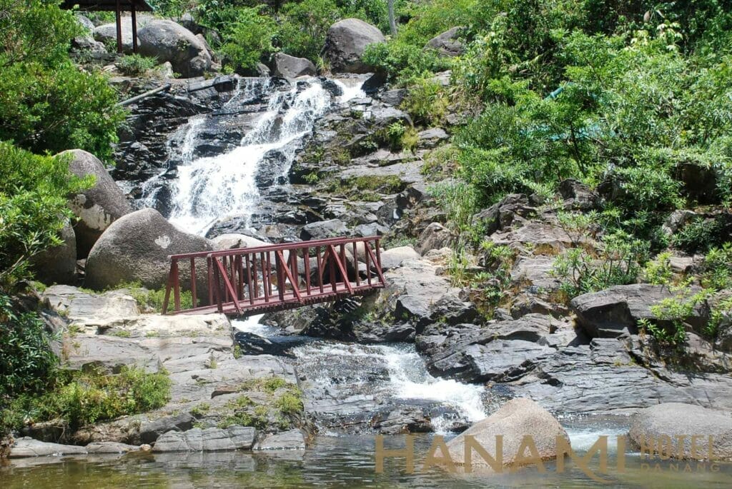 mat mat voi mau xanh tuyet dep o khu du lich ngam doi da nang 2 1